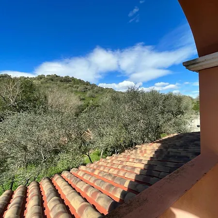 Casa vacanze Viletta Ginepri - San Teodoro *
