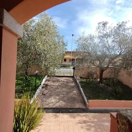 Viletta Ginepri - San Teodoro